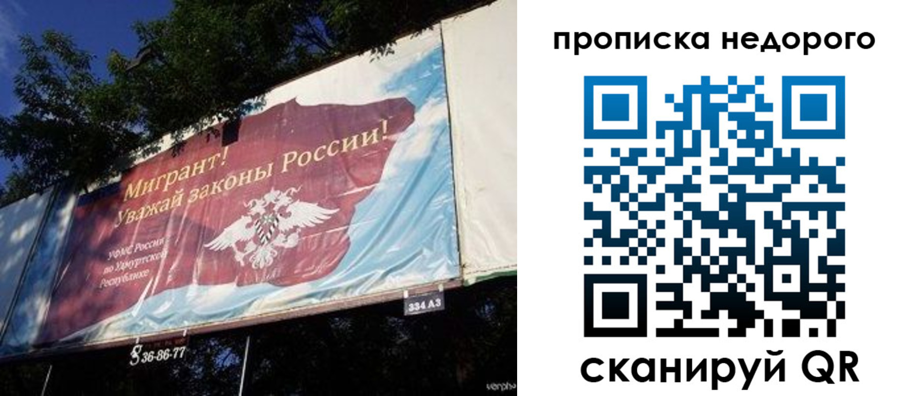 прописка для работы в Торопеце